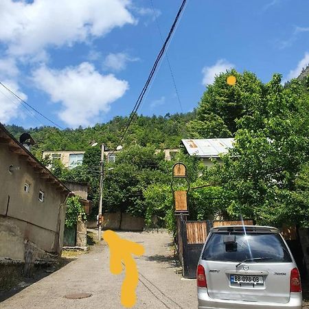 Nari Apartment Borjomi Dış mekan fotoğraf